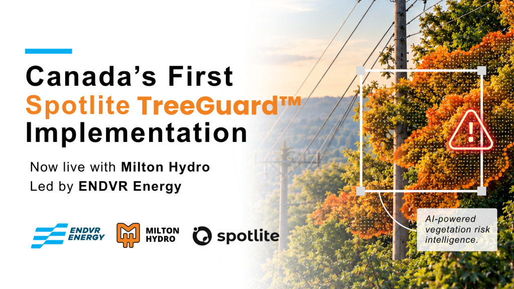 Download this informational page to learn more about Spotlite’s TreeGuard™ vegetation monitoring solution.